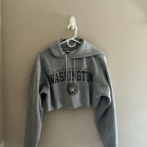 University of Washington Hoodies